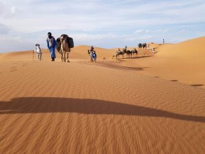 séjour au sahara